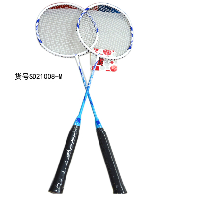 Disney Double Shot Set Badminton Racket Sd21008 Hot Sale