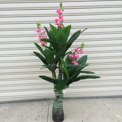 Indoor playing green trees evergreen rhododendron Luohanshan small plastic tree