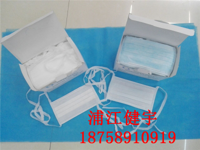 Disposable non-woven face mask with lace and dust mask