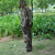 Direct manufacturers of bionic camouflage suit F outdoor hunting rainproof windproof cold