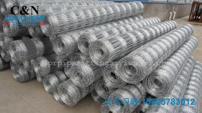 Direct selling farming fence fence prairie network hot galvanized iron wire net net