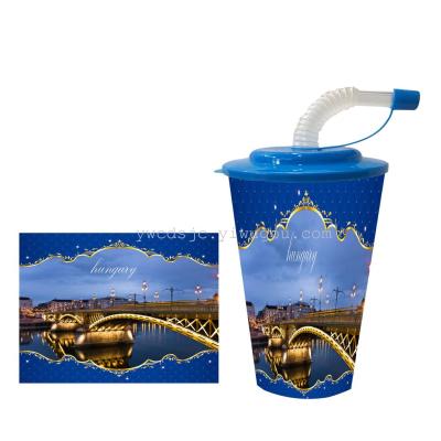 Manufacturers direct plastic cup 3D pattern cup to sample custom cup