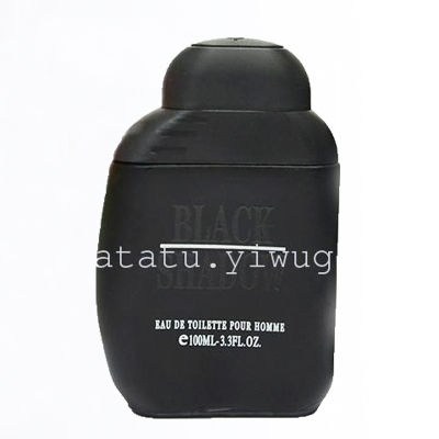 To sample custom personalized perfume perfume men leather trade 100ML