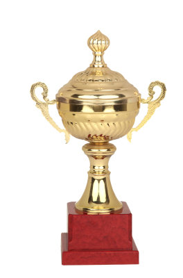 Laozheng Metal Trophy 216-1