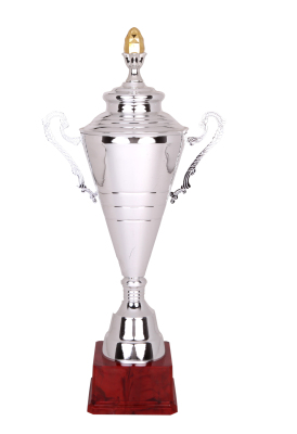 Laozheng Metal Trophy 2174-1