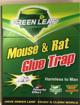  green leaf of the wholesale trade of green GLE1001 rat board foreign trade sticky mouse board factory direct sales