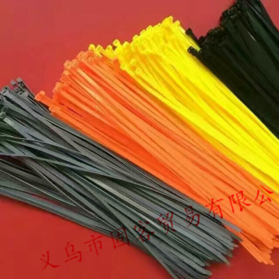 Plastic Self-Locking Black Nylon Cable Tie 4*200