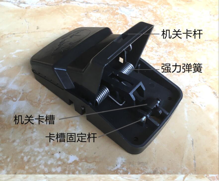 Product Image Gallery