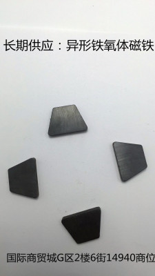 Ferrite magnet shaped Ferrite magnet