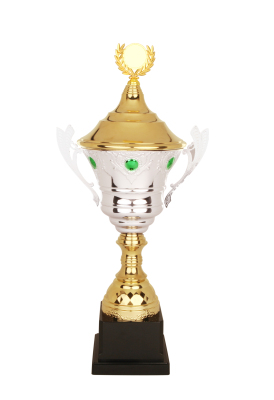 Laozheng Metal Trophy GY-1