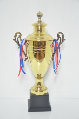 Old Zheng All Metal Trophy 13-6