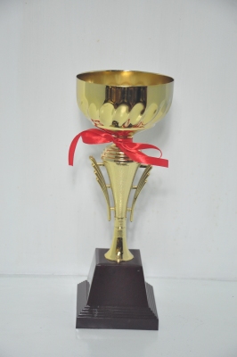 Lao Zheng Jinsu Trophy 12-9