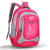 2016 New Primary School Student Schoolbag Custom Logo Boys and Girls Lightweight Breathable Children Backpack