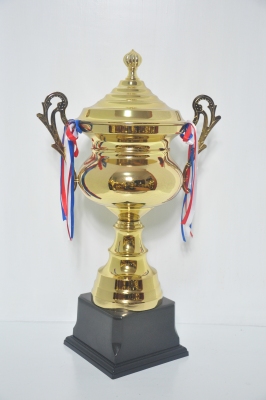 Old Zheng All Metal Trophy 13-2