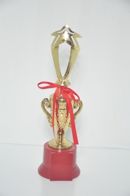 Lao Zheng Jinsu Trophy 13-5