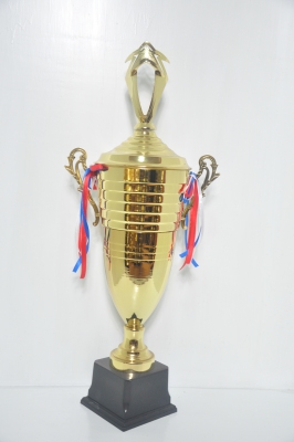 Old Zheng Metal Trophy 13-10