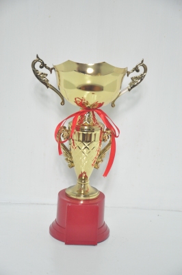 Lao Zheng Jinsu Trophy 13-8