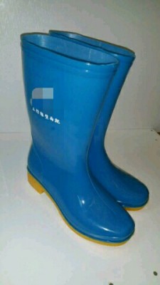 The protective boots boots boots blue lady fashion lady