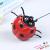 Crafts Flower Arrangement LADYBIRD Creative Garden Garden Gardening Groceries Furnishings Ornaments Decorative Crafts