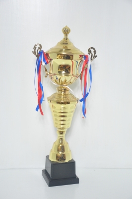Laozheng Metal Trophy 14-4