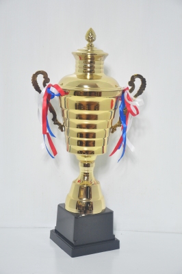 Old Zheng Metal Trophy 107