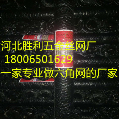 Hexagonal wire mesh /chicken wire mesh/  galvanized wire unscrew Dingzhou, breeding NET manufacturers