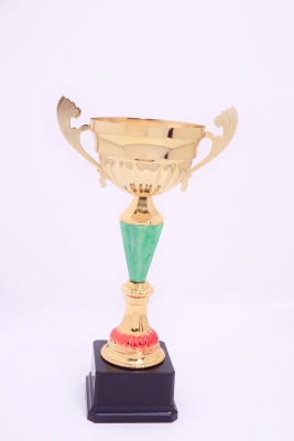Lao Zheng Jinsu Trophy 273