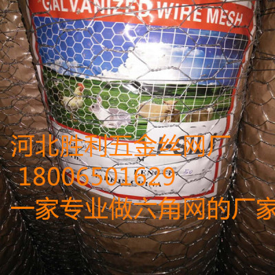 chicken wire netting galvanized wire netting hot sell to africa