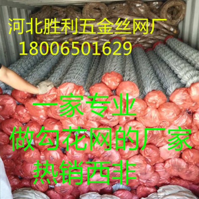 chain link fencing /chain wire netting galvanized wire mesh