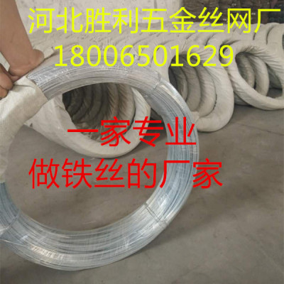 galvanzied iron wire white wire