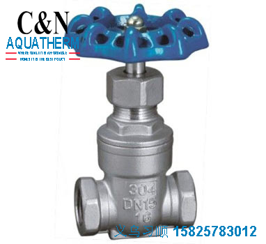 casrting ss 304 gate valve