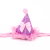 Dog Hat Pet Spring and Summer Accessories Golden Retriever Teddy Bomei Pet Hat Purple Shiny Princess Pointed Hat