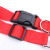 Pet Running Traction Rope Polypropylene Fiber 2.5cm Running Dog Walking Belt