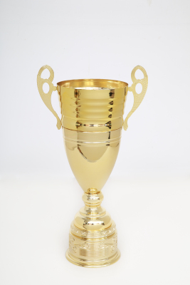 Laozheng Metal Trophy 2101