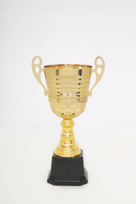 Laozheng Metal Trophy 2103