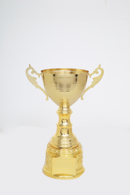 Lao Zheng Jinsu Trophy 2079