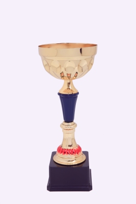 Lao Zheng Jinsu Trophy 274