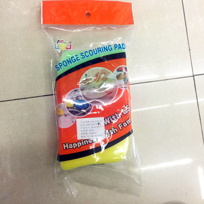 Scouring Pad Sponge 2