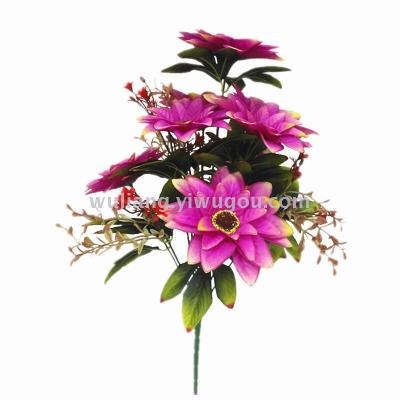 12 Christmas Chrysanthemum