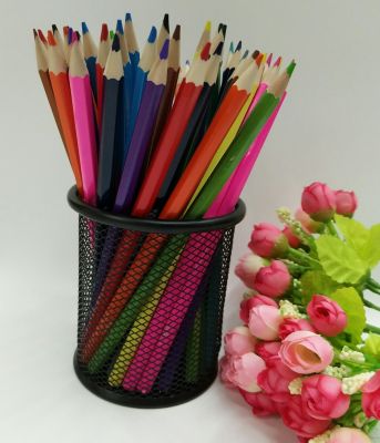 Standard core color, lead color pencil, crayon and paintbrush in 24 colors