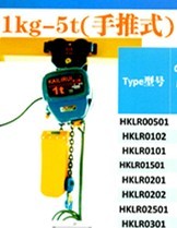 Ring chain electric hoist 1KG--5T (push type)