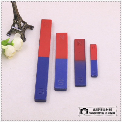 Each specification teaching magnet NS extremely red and blue magnet