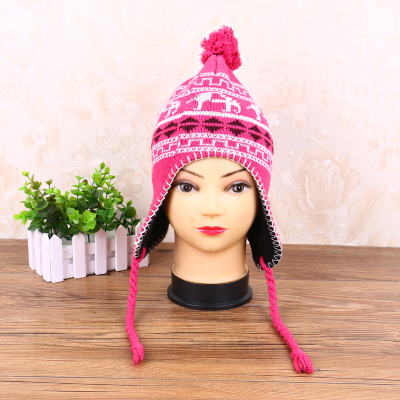 Autumn winter new style hat fashion women wear the ear cap thickened knitted hat wool hat a warm hat