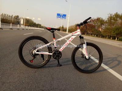 Bike 24 \"21 speed fashion disc brake variable-speed mountain bike factory direct selling