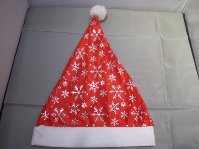 Snow Christmas hat