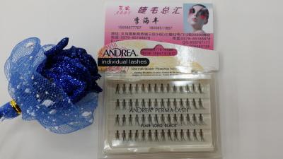 New 10, 12 strands of imitation sable hair grafted on eyelashes naturally single tufted thick style