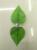 Bifurcated heart-shaped leaf, peach leaf, heart leaf, chicken leaf, rose leaf