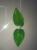 Bifurcated heart-shaped leaf, peach leaf, heart leaf, chicken leaf, rose leaf