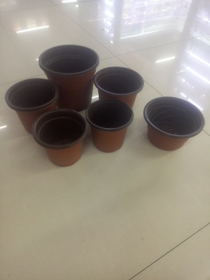 Supply Flowerpot Wholesale Disposable Succulent Plant Special Flowerpot Wholesale