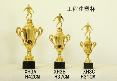 Lao Zheng Metal Trophy